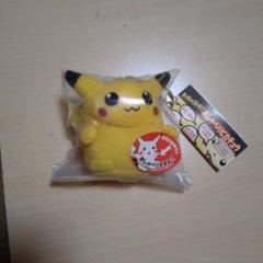 2025年最新】ピカチュウ おしゃべりぬいぐるみの人気アイテム