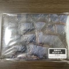 モンハン 大狩猟展 特典 スペシャルポストカードBOX 黒龍ver