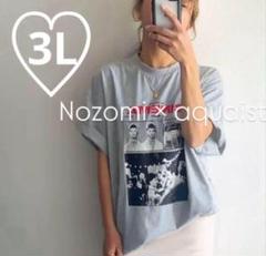 新品　しまむら　シネマプリントTシャツ(nozomi) グレー　3Lサイズ