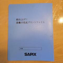 SAPIX サピックス 語彙力完成プリント テスト計24回 026s2D 2025年最新】サピックス語彙力完成プリントの人気アイテム