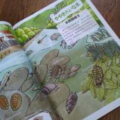 【夏休み】川の生き物を調べよう