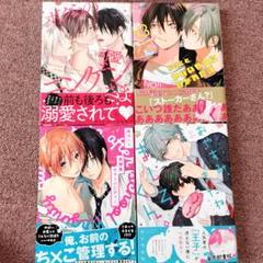 BL漫画　全49冊セット　まとめ売り　バラ売り不可　送料無料　メルカリ便 BL漫画まとめ売り25冊バラ売り可〇 即購入不可 - メルカリ