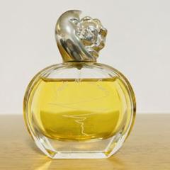 2025年最新】SISLEY soir de luneの人気アイテム - メルカリ