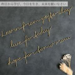 ワイヤーレタリング▪️アインシュタイン *手書き風の名言* 〖真鍮ゴールド〗