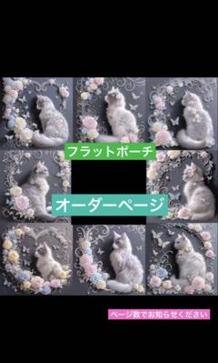 フラットポーチ
