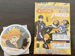 【新品未開封】日向翔陽　20個セット ジャンプGIGA メタリック缶バッジ ハイキュー ジャンプ GIGA限定誌上通販 メタリック缶バッジ 日向