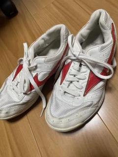 MIZUNO シューズ　25.5cm