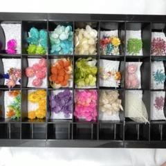 coba_plants様 リクエスト 2点 まとめ商品 Cocoꕤ.*様 リクエスト 2点 まとめ商品 - メルカリ