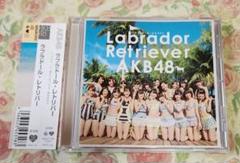 Labrador Retriever /AKB48