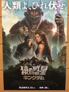 映画「猿の惑星 キングダム」☆オーウェンティーグ フレイヤ