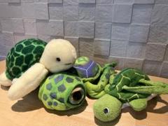 Fiesta 社　フィエスタ　ぬいぐるみ　人魚　30センチサイズ Amazon.co.jp: サンエックス(San-X) センチメンタルサーカス