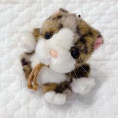 イリオモテヤマネコ　ぬいぐるみ　西表島　沖縄　猫　　　マスコット