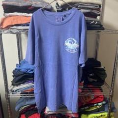 90s 海外メンズ古着パキスタン製希少タグ ヴィンテージL青ブルーtシャツユニセ