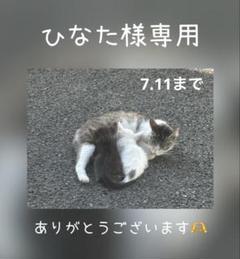 リピ様♡ひなた様専用♡レジンヘアゴムブローチ - メルカリ