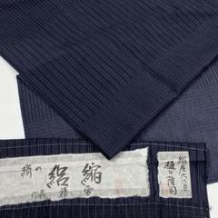 日本工芸会正会員 樋口隆司 積雪 絹の絽縮 紗紬 夏訪問着 未使用