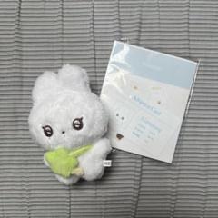 2025年最新】NCT wish シオン ぬいぐるみの人気アイテム - メルカリ