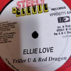 Ellie Love いとしのエリー　レゲエ　レコード Ellie Love いとしのエリー レゲエ レコード Southern All Stars