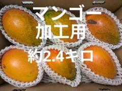 マンゴー　訳あり2.4キロのサムネイル