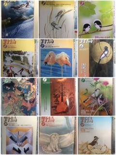 野鳥 2006年1〜12月号 全12冊 B5版ファイル綴 日本野鳥の会(29)