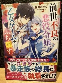 小説 2冊セット ビーズログ文庫 小乃マル 群青みどり - メルカリ