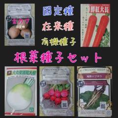 根菜種子セット 固定種 在来種 有機種子 野菜の種 家庭菜園 種子 種