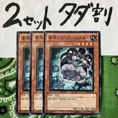 遊戯王 素早いビッグハムスター 英語 2枚セット - メルカリ