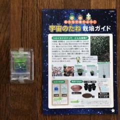 宇宙種 シロイヌナズナ