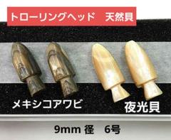 アワビ貝 ウグイス貝茶蝶貝 トローリングルアーヘッド