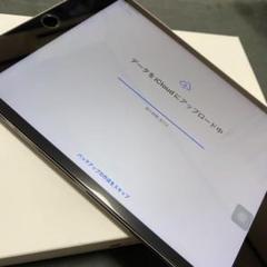 Apple iPad mini 4 セルラーモデル 128GBの中古品