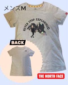 ノースフェイス海外限定TシャツメンズM グレー　プリント　山