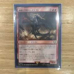 2025年最新】洞窟に宝蓄えしドラゴンの人気アイテム - メルカリ