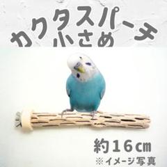 【特価】鳥用品　止まり木　カクタス　スケルトン　パーチ　太めNo.221 2025年最新】カクタスパーチの人気アイテム - メルカリ