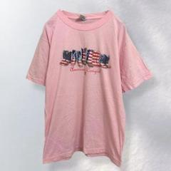 JERZEES ジャージーズ 半袖Tシャツ 綿100% ヴィンテージ ラフ L