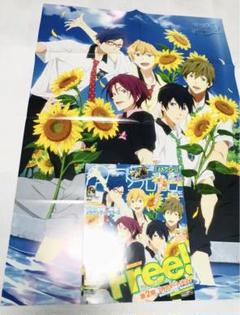 七瀬遙 松岡凛 橘真琴 葉月渚 竜ヶ崎怜【ポスター&雑誌】アニメFree!ES