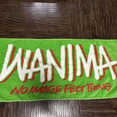❤️WANIMAアコースティックタオル2枚SET ❤️ ❤️WANIMAアコースティックタオル2枚SET ❤️