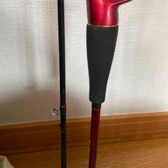 アナリスターカレイ165