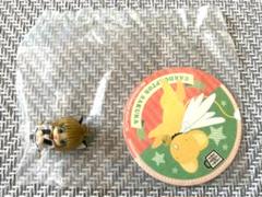 CCさくら.カードキャプターさくら はにゃーんなティータイム お茶友②