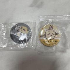 ラッコ先生　うさぎ　キャラクター ピンバッジセット