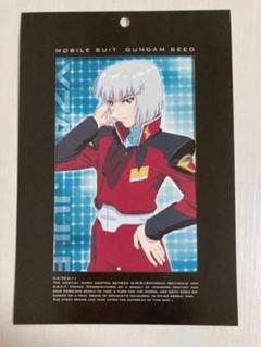 2025年最新】ポートレート seedの人気アイテム - メルカリ