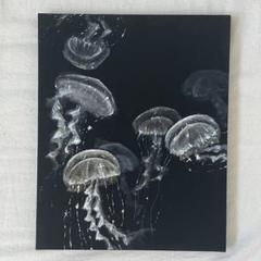 m44384783270_1.jpg?1724134711
