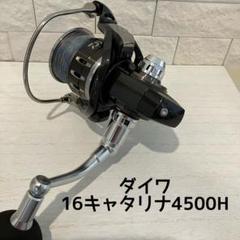 キャタリナ4500hの中古/未使用品 - メルカリ