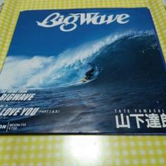 山下達郎/ BIG WAVE MOONシングルレコード