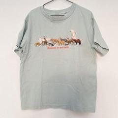 UT 動物イラスト Tシャツ 水色 国立科学博物館 130 半袖