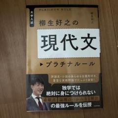 現代文プラチナルール