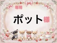 専用