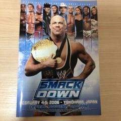 WWE 日本ツアーパンフレット