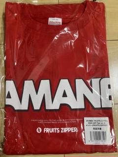 FRUITS ZIPPER Tシャツ JAPAN TOUR2024edition FRUITS ZIPPER Tシャツ -JAPAN TOUR2024 edition-（キッズサイズ