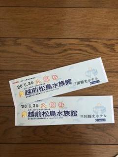 越前松島水族館 入場券