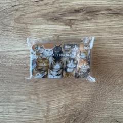 【新品未使用】WACHI FIELD 猫柄ミニスライド缶　ピルケース
