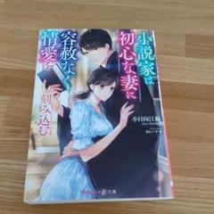 小説家は初心な妻に容赦なく情愛を刻み込む
